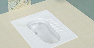 توالت-زمینی